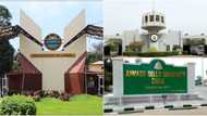 BREAKING: UI, UNN, UNILAG top list of best universities in Africa as World University ranking releases new report