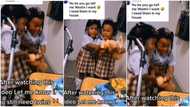 "I still want twins": Hilarious video of little sisters' epic battle over doll goes viral