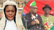 Atiku, Obi vs Tinubu: Anxiety as Justice Odili replies LP ahead of tribunal judgment