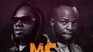 Khaligraph Jones x Lamaz Span K.O.B - Me Siogopi: Amazing video, lyrics and reactions from fans