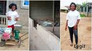 Nigerian graduate who sells Tom Brown Akamu shocked as thieves steal her grinding engine, shares tearful story