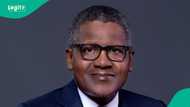 Nigeria’s largest fertilizer plant, Dangote fertilizer, prepares for NGX listing