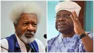 Ige’s murder: Former minister Adesiyan reacts to Soyinka’s comments