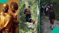Davido explores Hawaii, goes hiking, zip-lining with wife Chioma amid N1bn lawsuit, videos trend