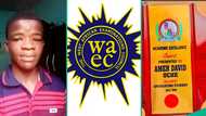 WAEC 2025 result: Boy who scored 350 in UTME displays WASSCE result, scores A1 in 5 subjects