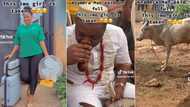 "Anambra man paid in full": Lady happily carries her bags out of parents' house, marries lover in video
