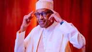 Buhari makes new appointment, seeks senate confirmation