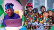 BREAKING: Jubilation as Tinubu signs N70,000 new minimum wage bill into law