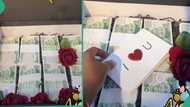 Man gives his girlfriend briefcase filled with naira notes because her genotype is AA