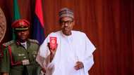 Fact-Check: Six key economic indicators fault Buhari's claim, Nigerian economy is better under him since 2015