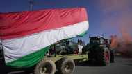 Tractors converge on Rome as farmers protest across Europe