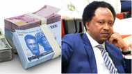 2023 election: “Avoid protest”, Ex-Lawmaker advises youths as Nigeria boils over scarcity of new Naira notes