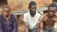 'Yan sanda sun damke mace mai ciki wata 9 da wasu matasa 2 a kan fashi da makami