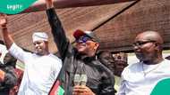Gbedebo Rhodes-Vivour dumps Peter Obi, gives reason