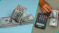 Naira loses ground against dollar in official, black markets