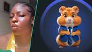 Hamster Kombat: Lady shares mistake people mining it on Telegram shouldn't make, expert reacts