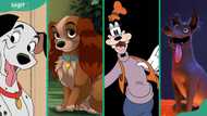 20+ iconic Disney dogs that defined our childhoods