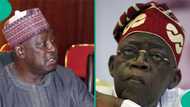 2027 election: Ex-SGF Babachir speaks on what the north will do to Tinubu, "He made life worse"
