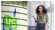 Nigeria-owned Gas Company NLNG seeks professionals for Vacant froles