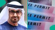 UAE lists 3 family members Golden Visa holders can obtain residence permits for