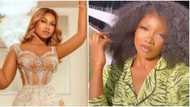 Go school you no gree: Nigerians roast BBNaija's Tacha on Twitter after she converted $50,000,000 to N29m