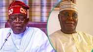 CSU certificate saga: "Address issues on forgery allegation", Atiku challenges Tinubu