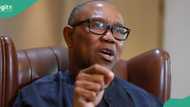 Peter Obi makes false claim about 2024 South African general election