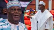 “Senate becoming a puppet in Tinubu’s hands”: Atiku reacts to Ndume’s removal