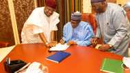 President Buhari creates his own legacy, signs Startup bill into law, SMEs to enjoy tax holiday