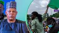 Shettima makes fresh appeal to Nigerians: "It's time to solve Nigeria’s problems, not protest"