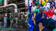 NNPC gives reasons Port Harcourt Refinery is not for sale despite Dangote’s warning