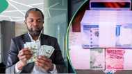 "It will hit N2,000": Nigerians react as naira falls to its lowest level against US dollar