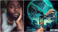 “Congratulations 001”: Davido’s Timeless trends on social media as Nigerians react to singer’s new album