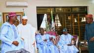 What Tinubu told us at the meeting convened after Osinbajo's declaration - APC governors reveal