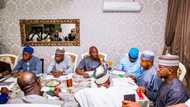 We are very proud of your patriotic leadership - APC governors hail Buni at 53