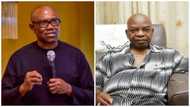 Peter Obi reacts to Arthur Eze's remarks over his 'failed' 2023 presidential bid