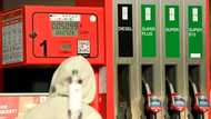 Eurozone inflation hits record, as gas crunch looms