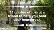 55 quotes of losing a friend to help you heal your heartbreak