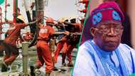 Presidency announces Nigeria’s second major gas investment in 2 years