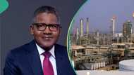 Dangote, other refinery owners give conditions to crash petrol prices