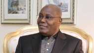 Just in: Atiku breaks silence on Amotekun, civilian JTF, tells FG what steps to take immediately