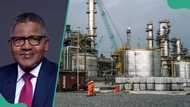 Dangote Refinery IPO attracts over N10bn from thousands of investors in minutes