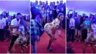 Esquire yansh de shake; Female Nigerian lawyer steals show at event as she twerks hard in video, causes stir