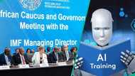 IMF warns AI could cut entry-level job opportunities for fresh graduates