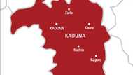 Yadda yan bindiga suka yi garkuwa da yan gida daya su 17 a Kaduna