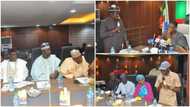 2023 presidency: APC chairman Adamu reveals what may cause Tinubu's defeat
