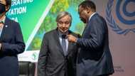 "I am greatly honoured": Adesina gets fresh UN appointment