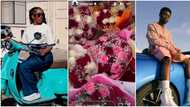 “Last last Tiwa go reach everybody”: Fans react as Omah Lay sends singer loads of flower bouquet, video trends