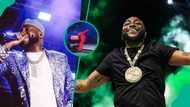 “He’s no longer getting young”: Davido’s performance video at recent US concert worries fans