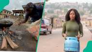 Cooking gas dealers release increased prices of 1kg, 5kg, 12kg: Nigerians turn to charcoal, firewood